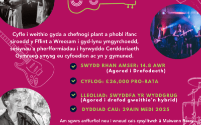 Swydd Wag: Swyddog Prosiect y Sîn ar y Ffin