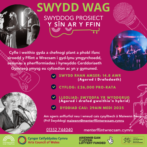 Swydd Wag: Swyddog Prosiect y Sîn ar y Ffin